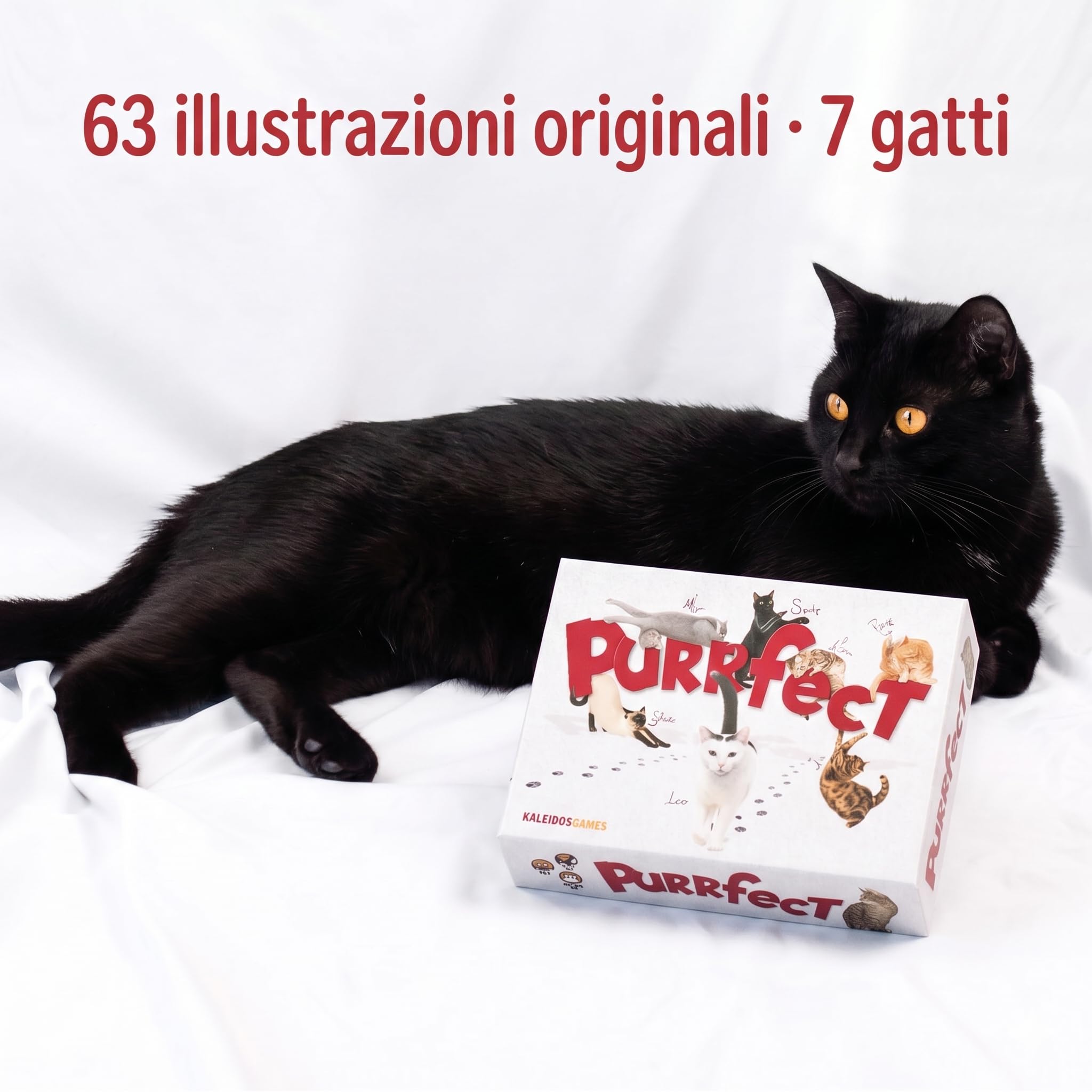 KaleidosGames Purrfect Kartenspiel Katzen 63 Karten 20 Min.