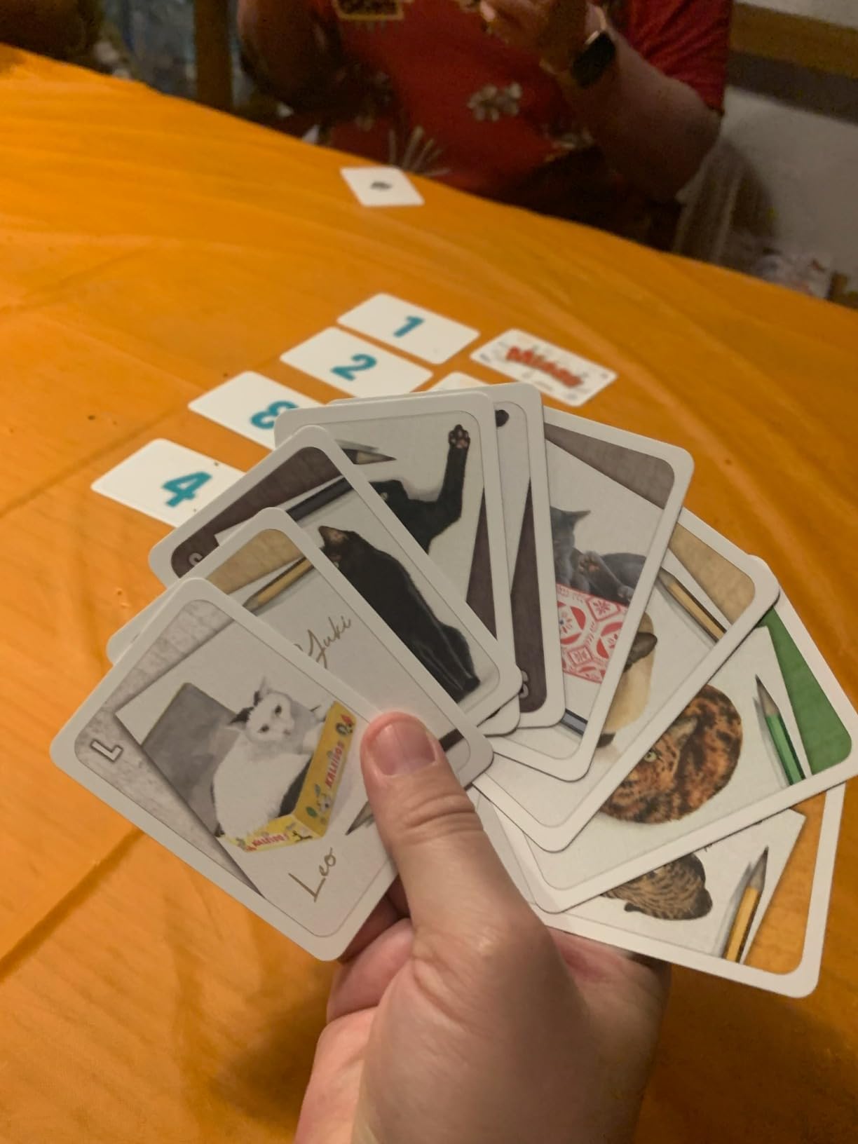 KaleidosGames Purrfect Kartenspiel Katzen 63 Karten 20 Min.