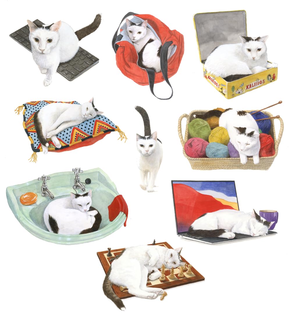 KaleidosGames Purrfect Kartenspiel Katzen 63 Karten 20 Min.