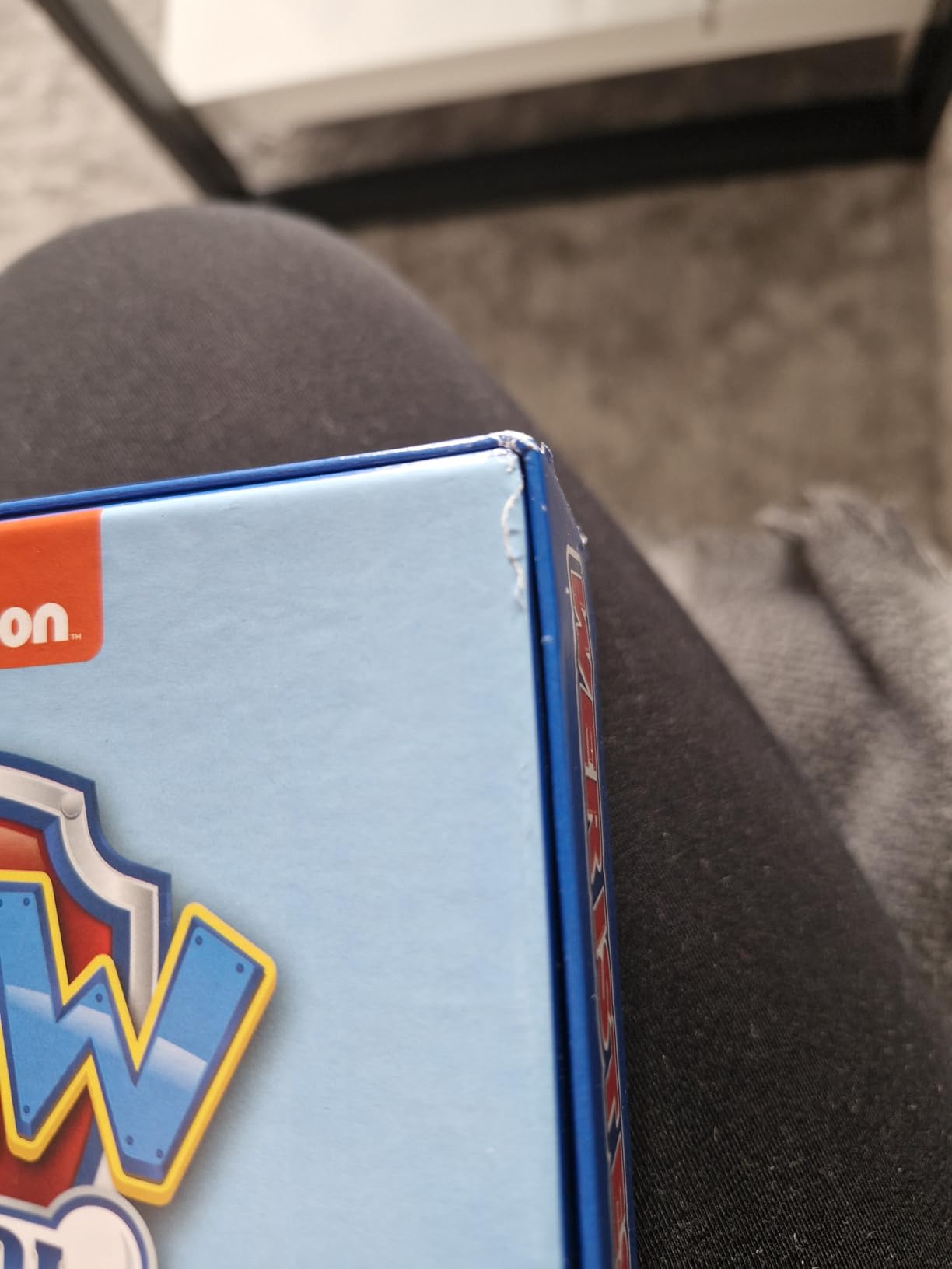 Winning Moves Wer ist es? Paw Patrol Brettspiel Deutsch 2 Spieler