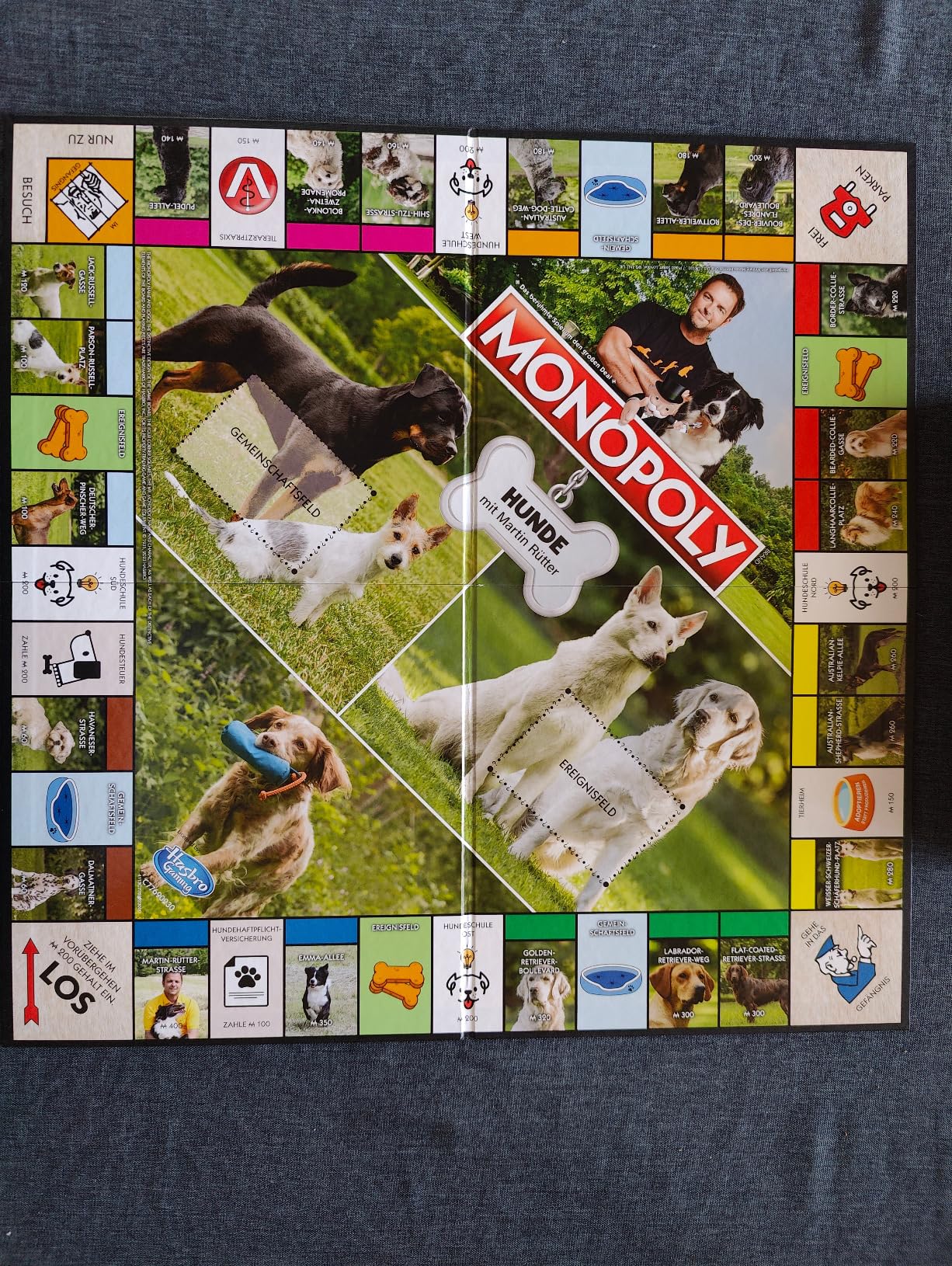 Winning Moves Monopoly Hunde Edition Brettspiel ab 8 Jahren