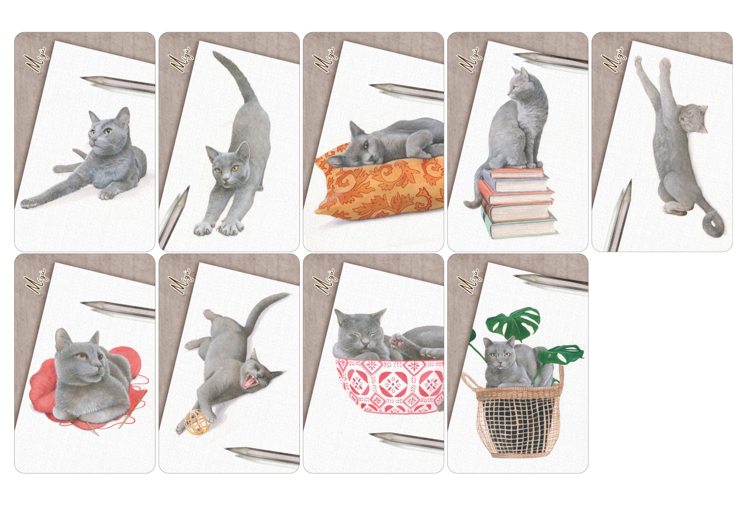 KaleidosGames Purrfect Kartenspiel Katzen 63 Karten 20 Min.